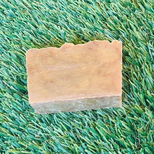 Cerasee + Turmeric + Aloe + Guava Bar Soap